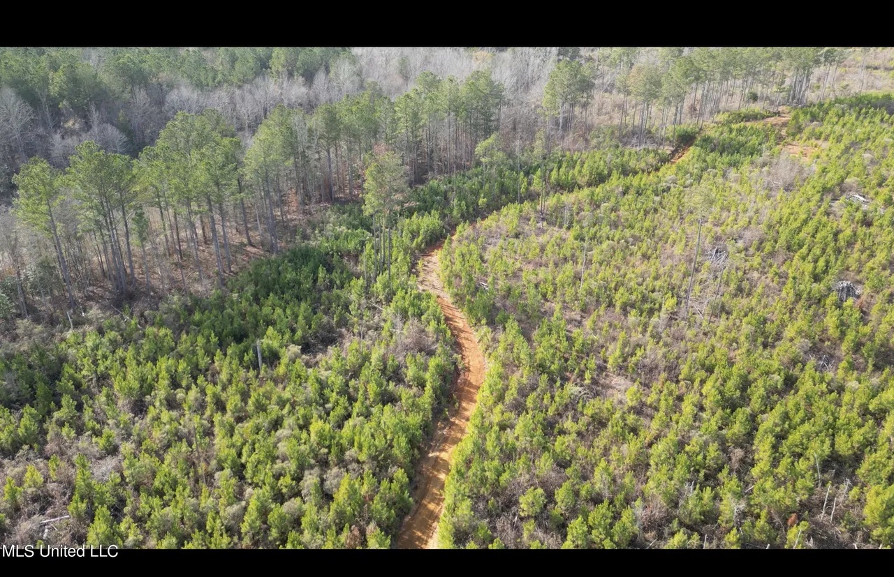 Outdoor lifestyle in Mississippi
